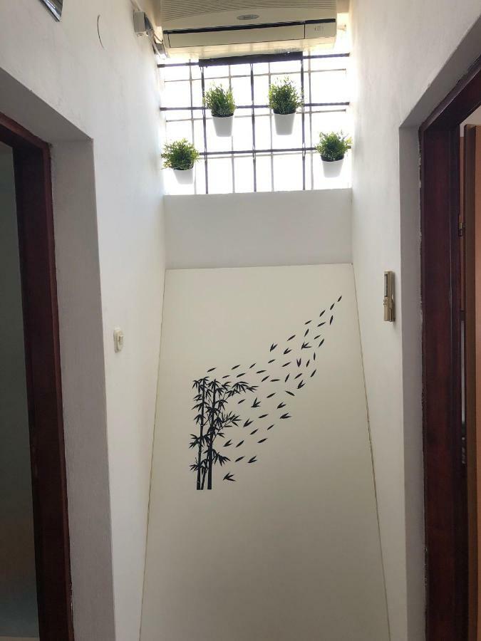 Andrija Apartment Krnica Kültér fotó